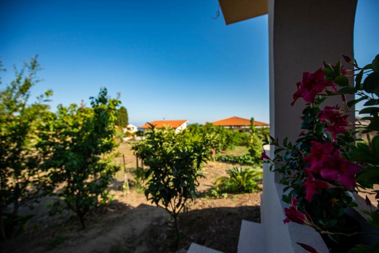 Michelino House Bed and Breakfast Parghelia Exteriör bild